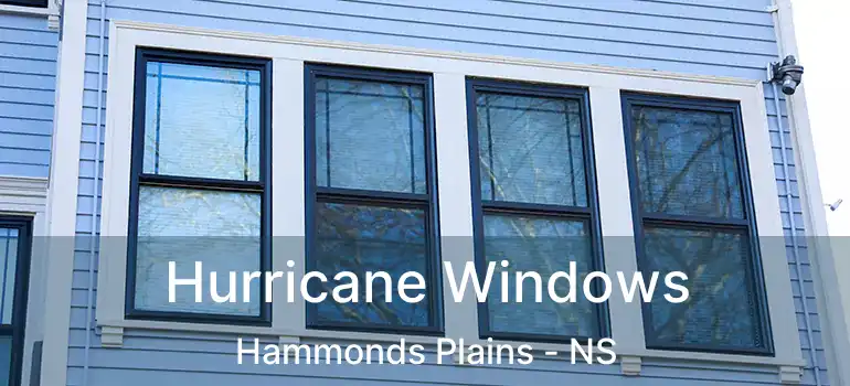  Hurricane Windows Hammonds Plains - NS