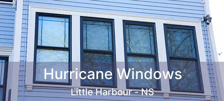  Hurricane Windows Little Harbour - NS