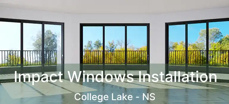  Impact Windows Installation College Lake - NS