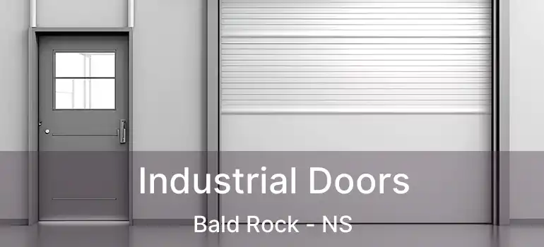  Industrial Doors Bald Rock - NS