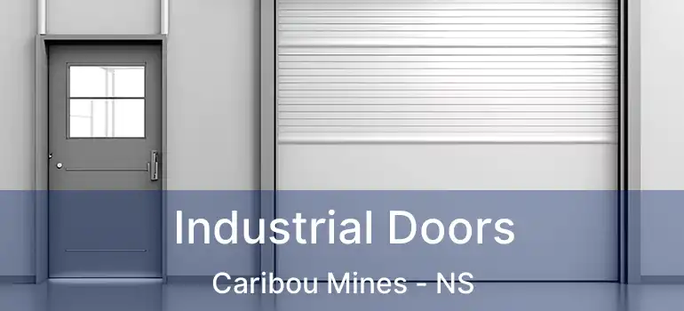  Industrial Doors Caribou Mines - NS