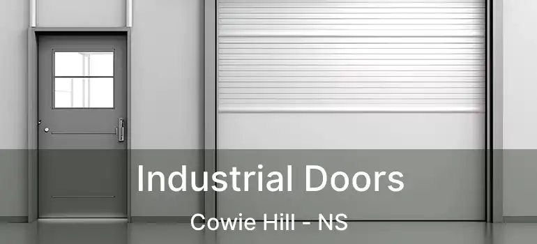  Industrial Doors Cowie Hill - NS