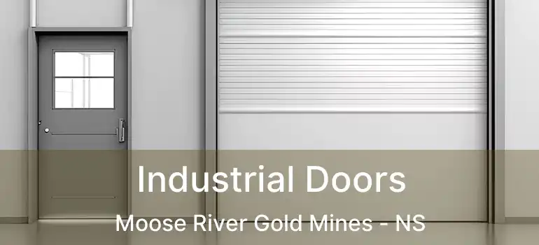  Industrial Doors Moose River Gold Mines - NS