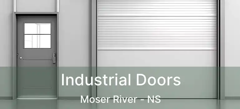  Industrial Doors Moser River - NS