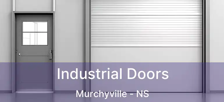  Industrial Doors Murchyville - NS