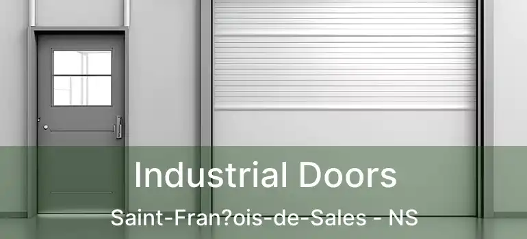  Industrial Doors Saint-Fran?ois-de-Sales - NS