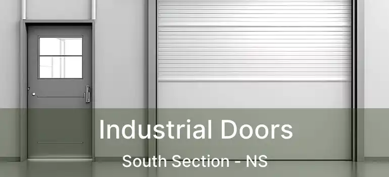  Industrial Doors South Section - NS