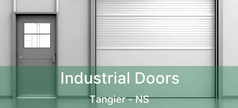  Industrial Doors Tangier - NS