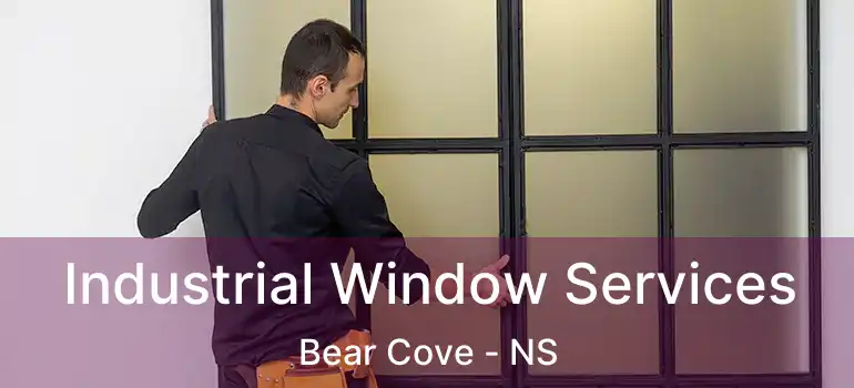  Industrial Window Services Bear Cove - NS