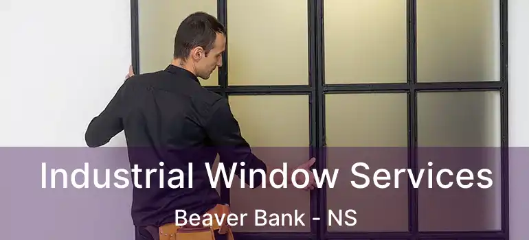  Industrial Window Services Beaver Bank - NS