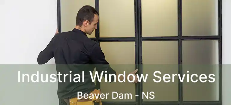  Industrial Window Services Beaver Dam - NS