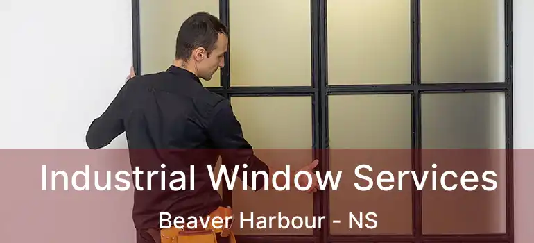  Industrial Window Services Beaver Harbour - NS