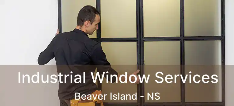  Industrial Window Services Beaver Island - NS