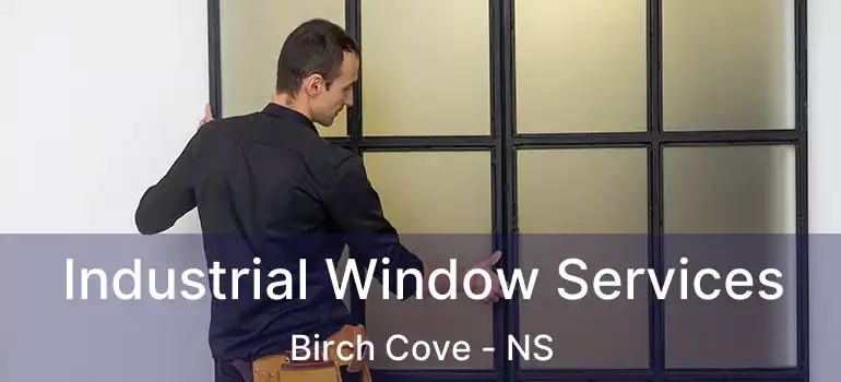  Industrial Window Services Birch Cove - NS