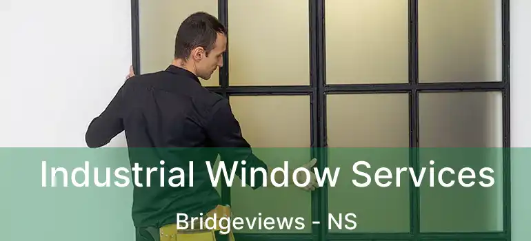  Industrial Window Services Bridgeviews - NS