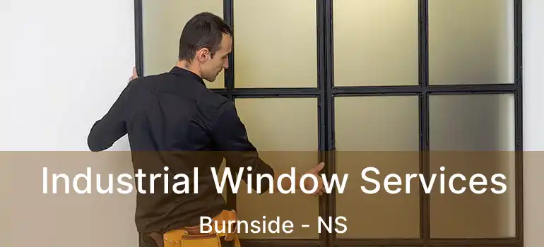  Industrial Window Services Burnside - NS