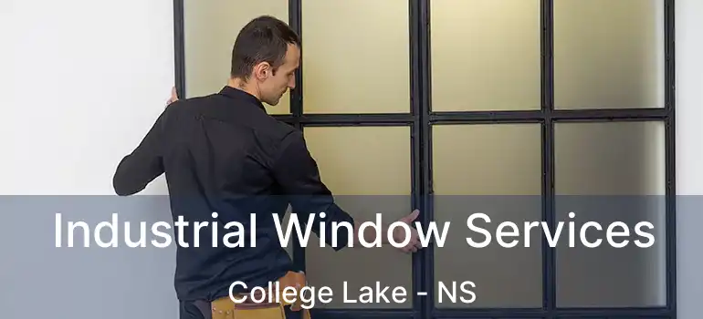  Industrial Window Services College Lake - NS