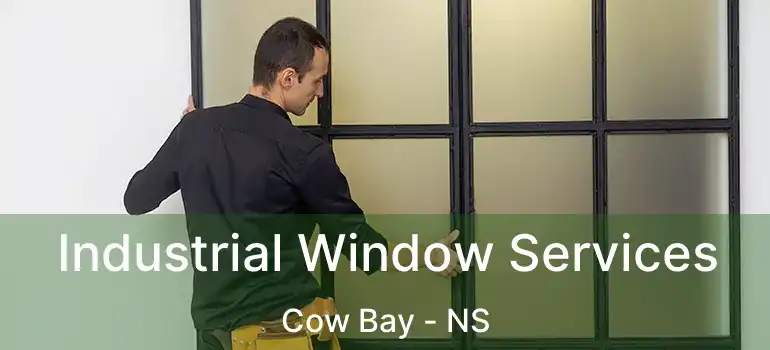  Industrial Window Services Cow Bay - NS