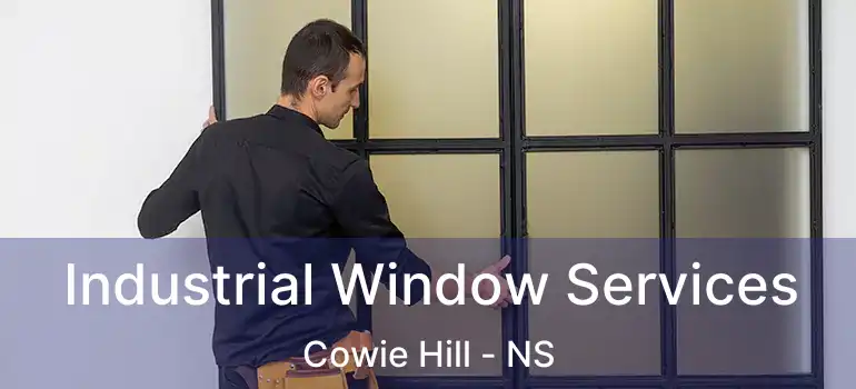  Industrial Window Services Cowie Hill - NS