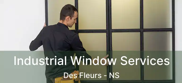  Industrial Window Services Des Fleurs - NS