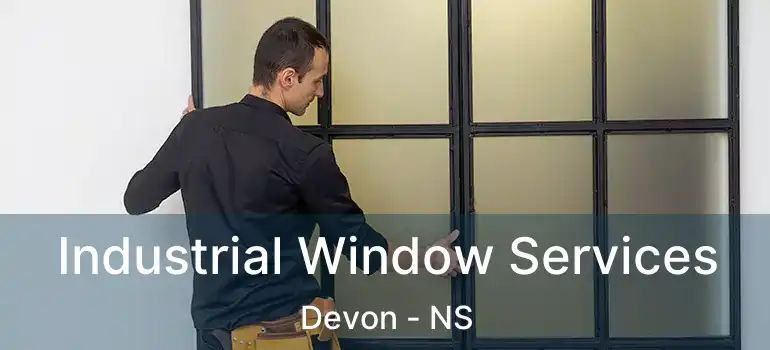  Industrial Window Services Devon - NS