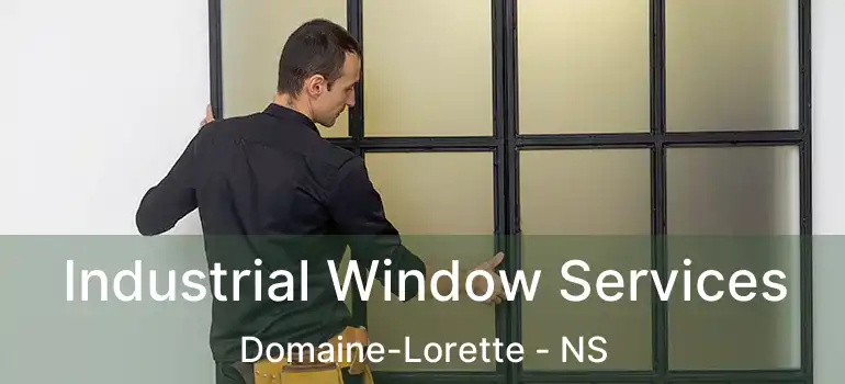  Industrial Window Services Domaine-Lorette - NS