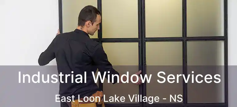  Industrial Window Services East Loon Lake Village - NS