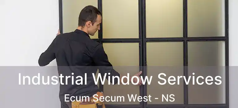  Industrial Window Services Ecum Secum West - NS