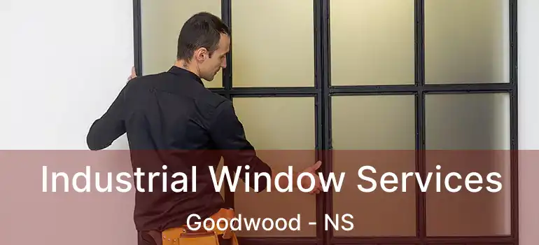  Industrial Window Services Goodwood - NS