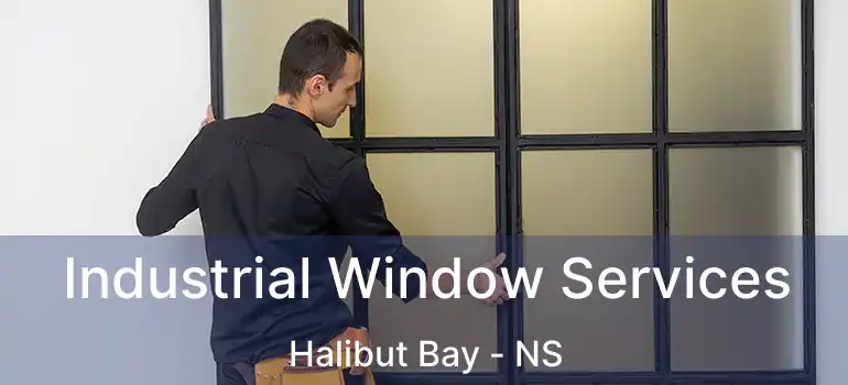  Industrial Window Services Halibut Bay - NS