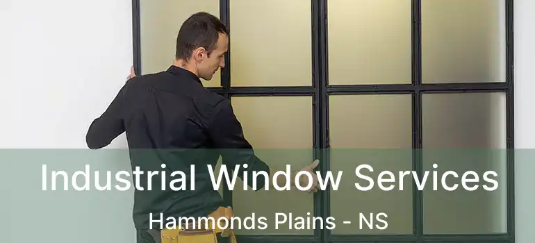  Industrial Window Services Hammonds Plains - NS