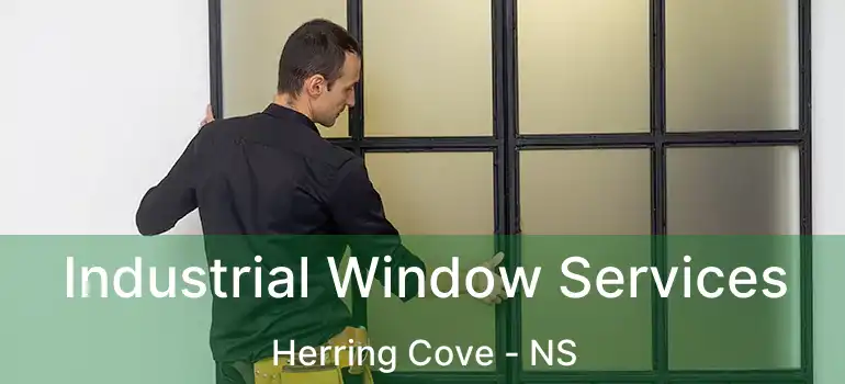  Industrial Window Services Herring Cove - NS