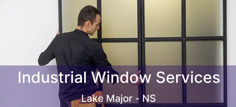  Industrial Window Services Lake Major - NS