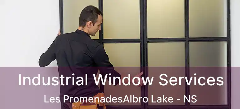  Industrial Window Services Les PromenadesAlbro Lake - NS