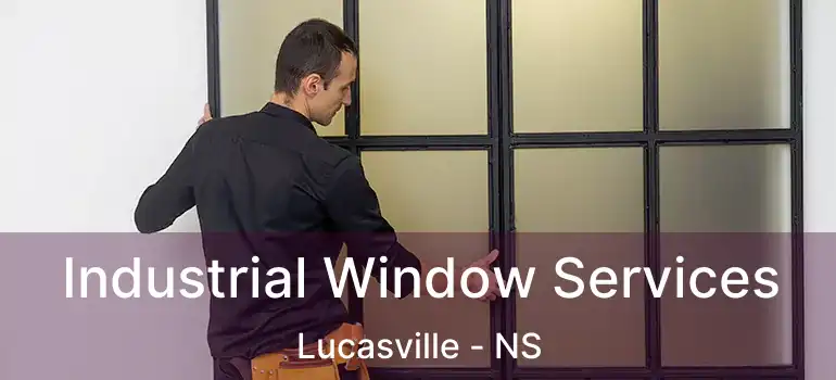  Industrial Window Services Lucasville - NS