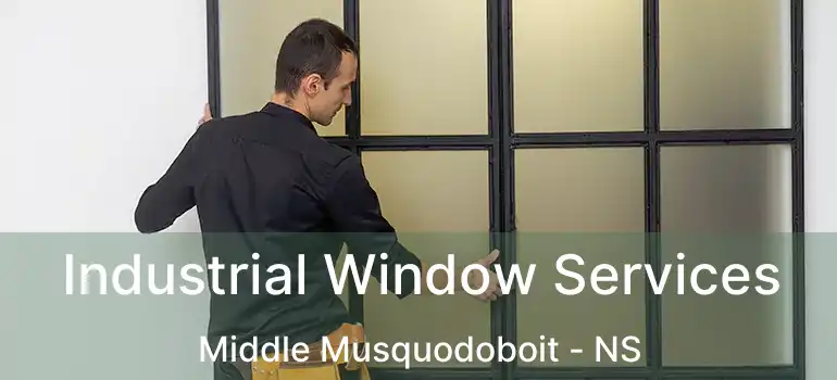  Industrial Window Services Middle Musquodoboit - NS