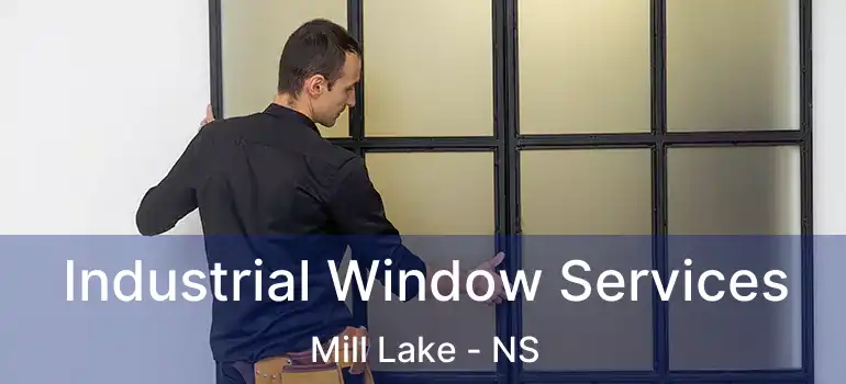  Industrial Window Services Mill Lake - NS