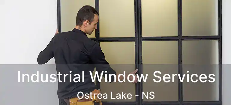  Industrial Window Services Ostrea Lake - NS