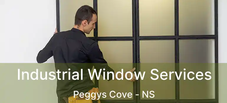  Industrial Window Services Peggys Cove - NS