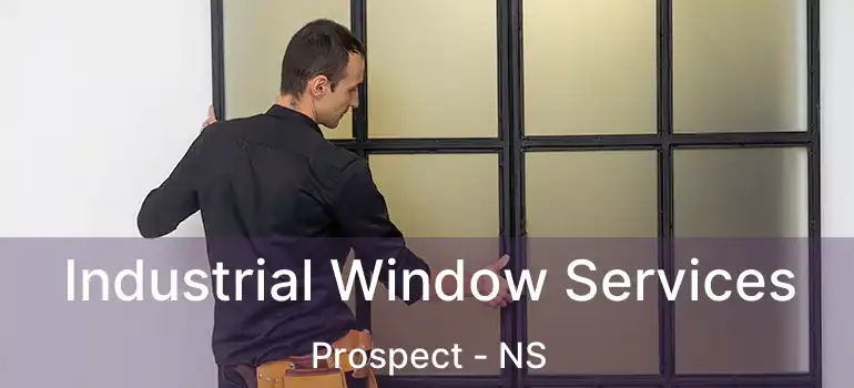  Industrial Window Services Prospect - NS