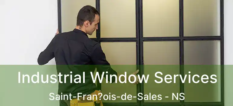  Industrial Window Services Saint-Fran?ois-de-Sales - NS