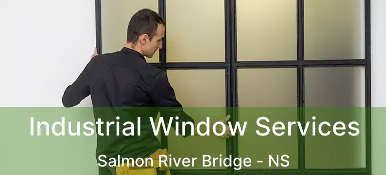  Industrial Window Services Salmon River Bridge - NS