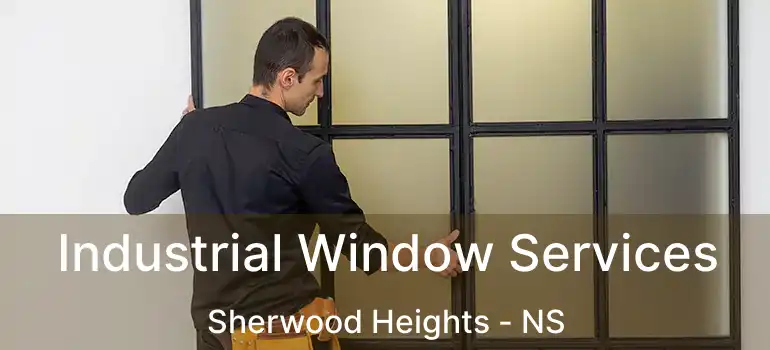  Industrial Window Services Sherwood Heights - NS