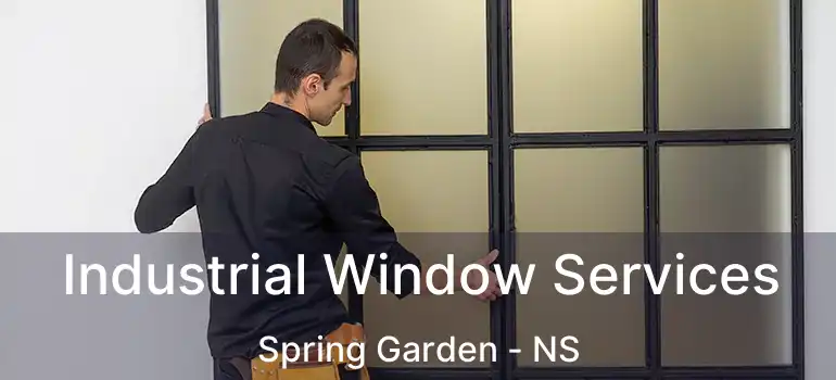  Industrial Window Services Spring Garden - NS