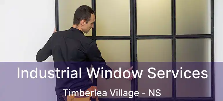  Industrial Window Services Timberlea Village - NS