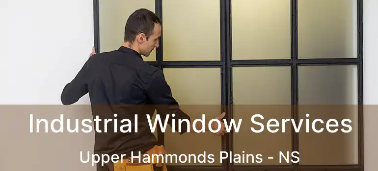  Industrial Window Services Upper Hammonds Plains - NS