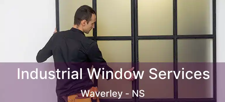  Industrial Window Services Waverley - NS