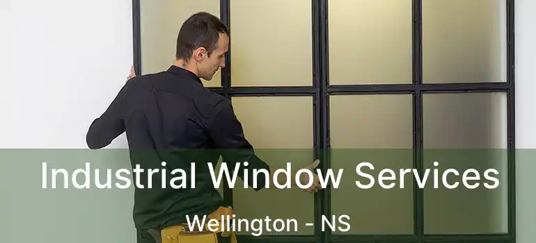  Industrial Window Services Wellington - NS