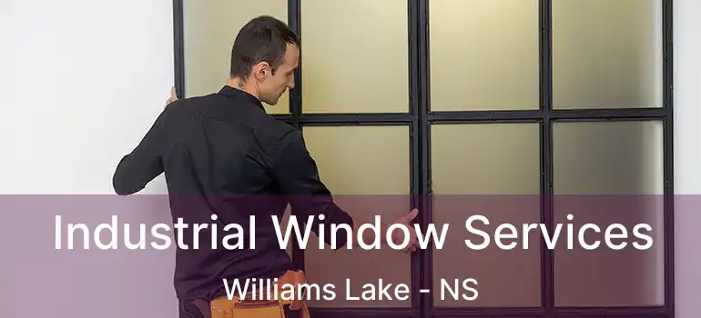  Industrial Window Services Williams Lake - NS