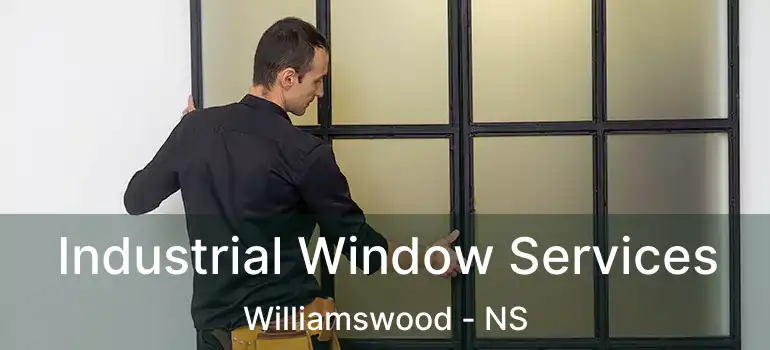  Industrial Window Services Williamswood - NS